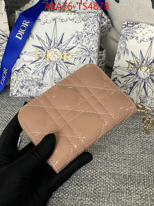 ID: TS4878 $: 75USD,