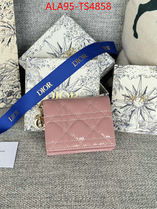 ID: TS4858 $: 95USD,