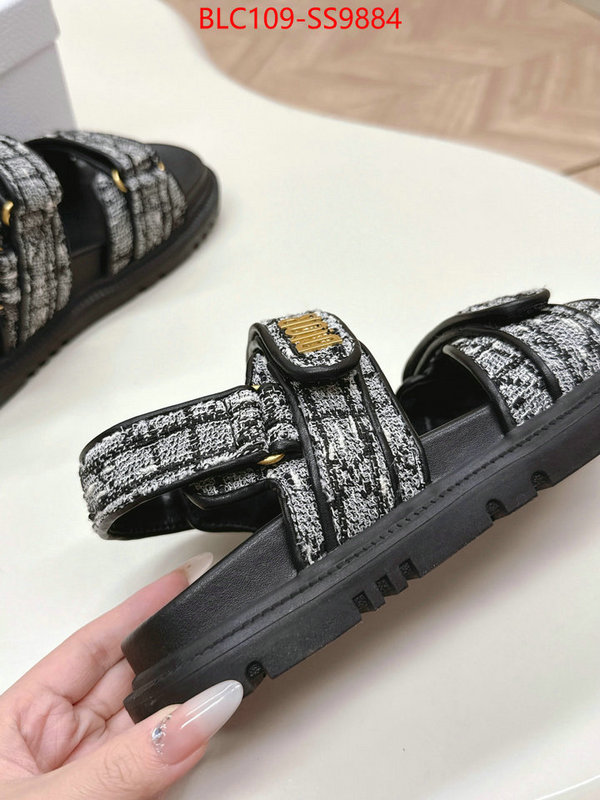 Women Shoes-Dior wholesale 2024 replica ID: SS9884 $: 109USD