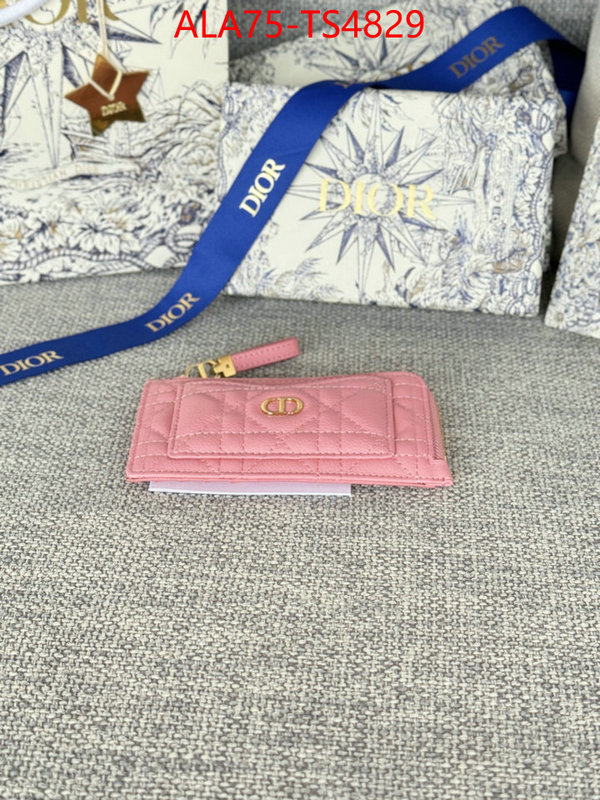 ID: TS4829 $: 75USD,