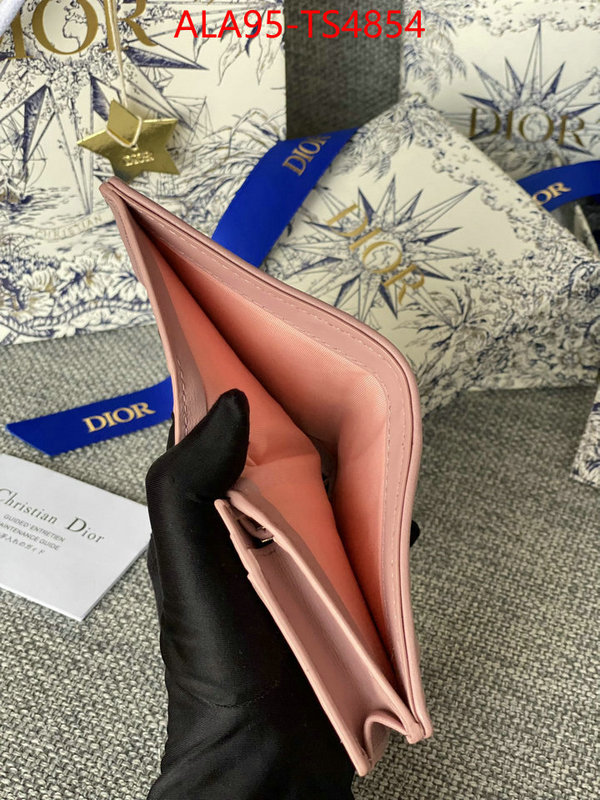 ID: TS4854 $: 95USD,
