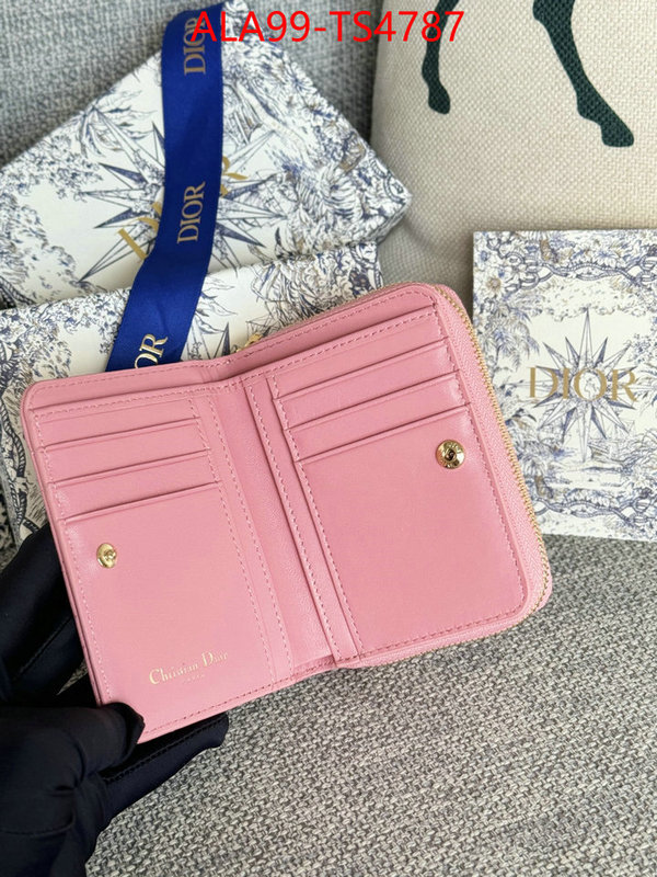 ID: TS4787 $: 99USD,