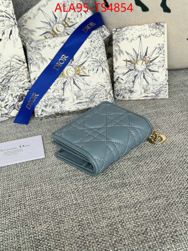 ID: TS4854 $: 95USD,