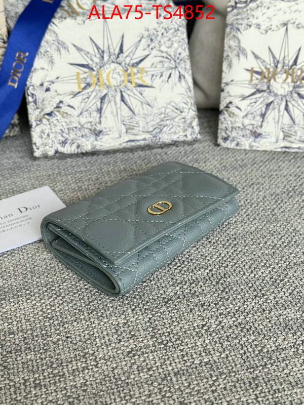 ID: TS4852 $: 75USD,