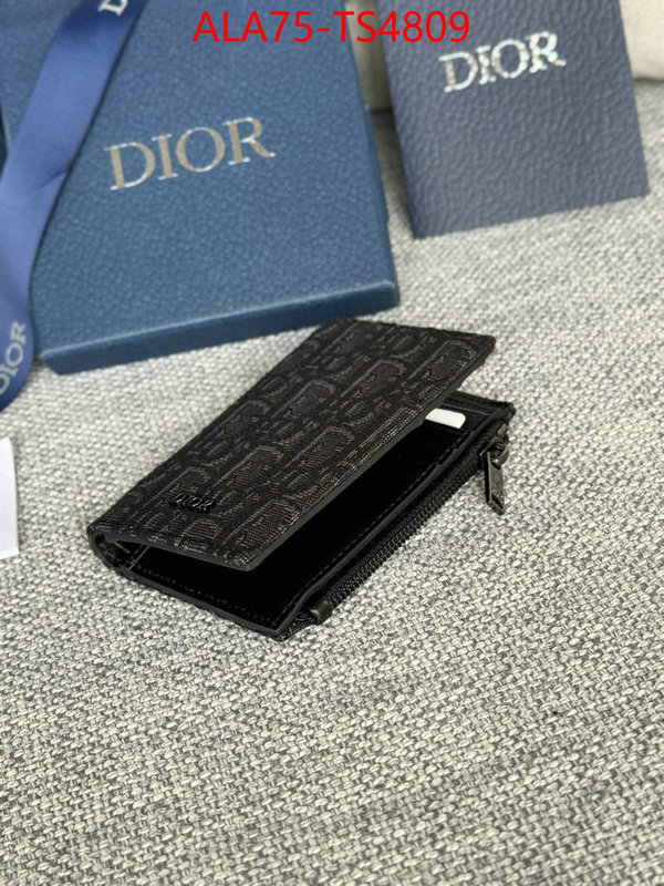 ID: TS4809 $: 75USD,