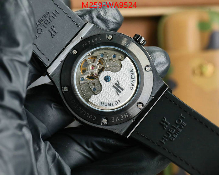 ID: WA9524