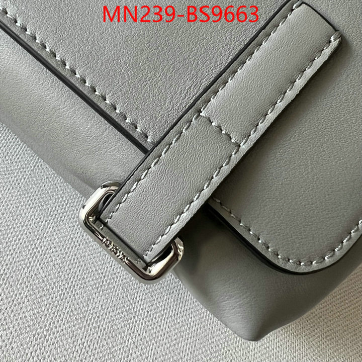 Loewe Bags(TOP)-Crossbody- luxury cheap ID: BS9663 $: 239USD,