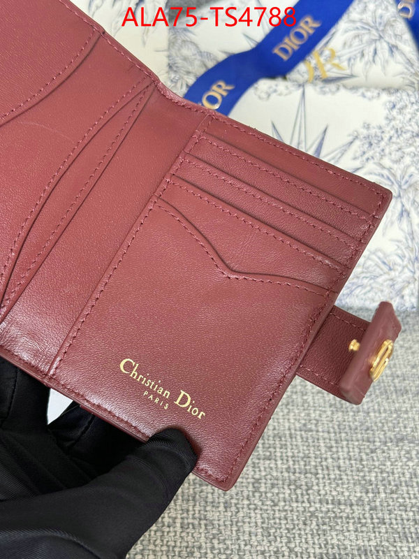 ID: TS4788 $: 75USD,