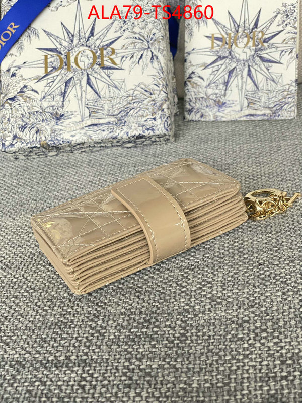 ID: TS4860 $: 79USD,