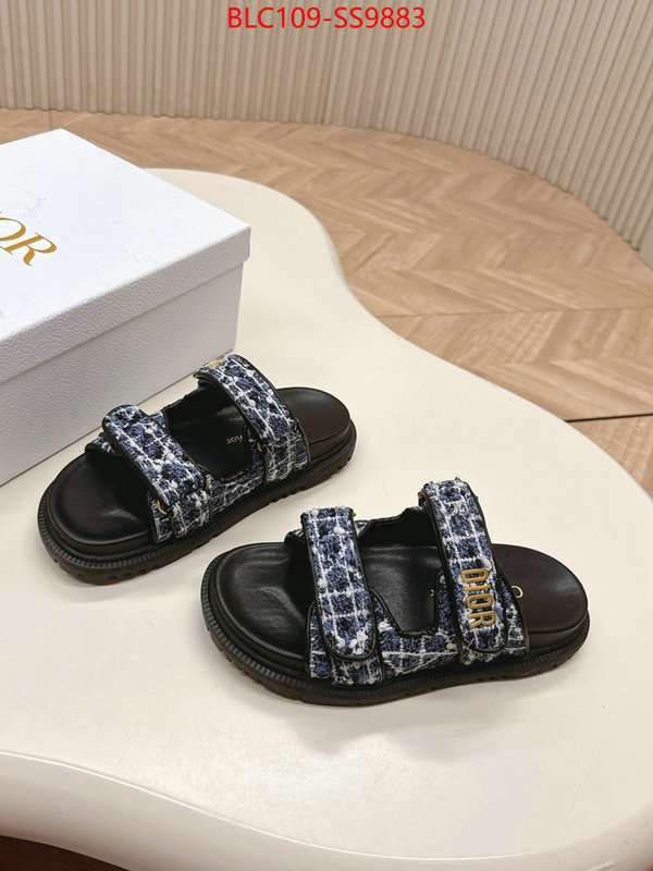 Women Shoes-Dior for sale online ID: SS9883 $: 109USD