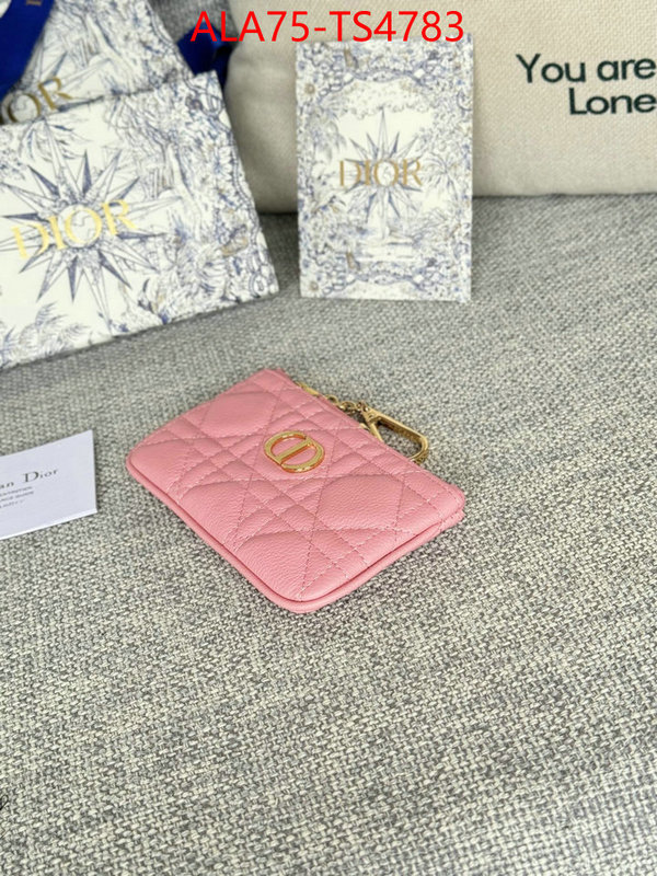 ID: TS4783 $: 75USD,