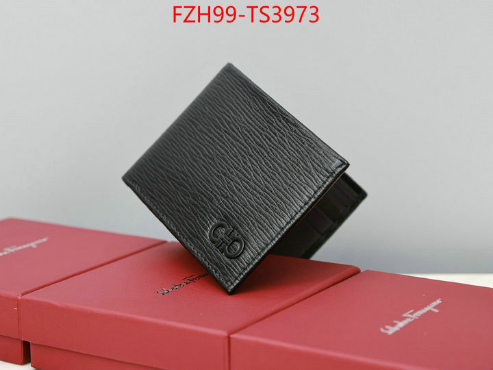 ID: TS3973 $: 99USD,