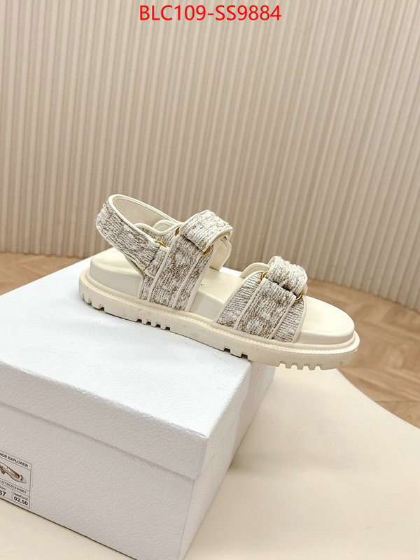 Women Shoes-Dior wholesale 2024 replica ID: SS9884 $: 109USD