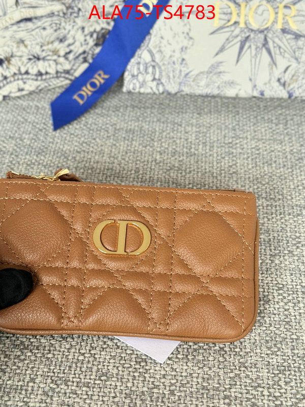 ID: TS4783 $: 75USD,