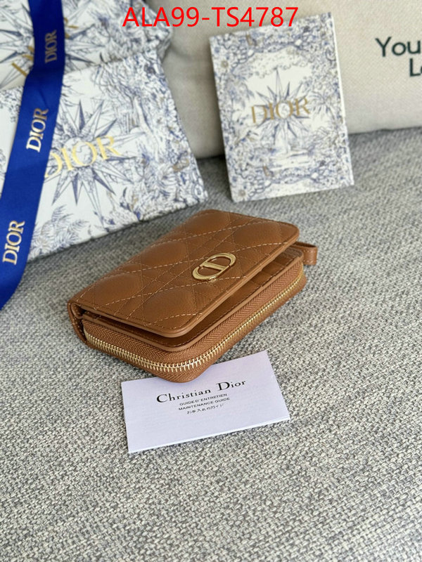 ID: TS4787 $: 99USD,