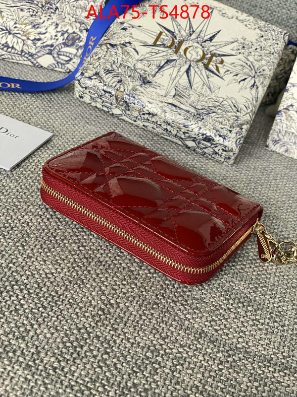 ID: TS4878 $: 75USD,