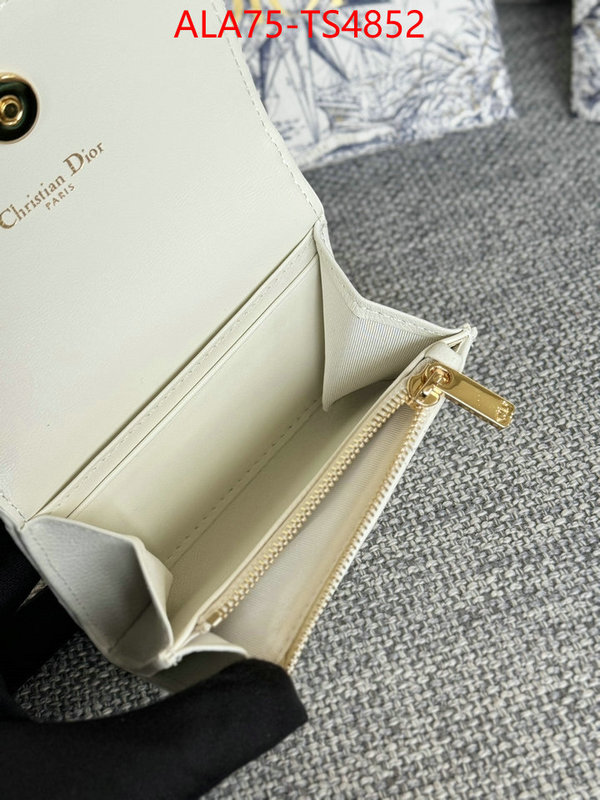 ID: TS4852 $: 75USD,
