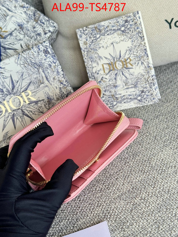 ID: TS4787 $: 99USD,