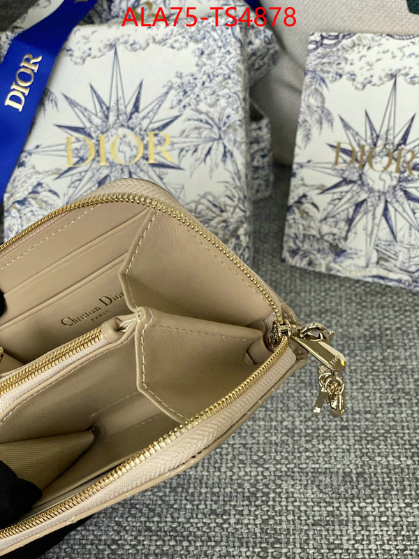 ID: TS4878 $: 75USD,