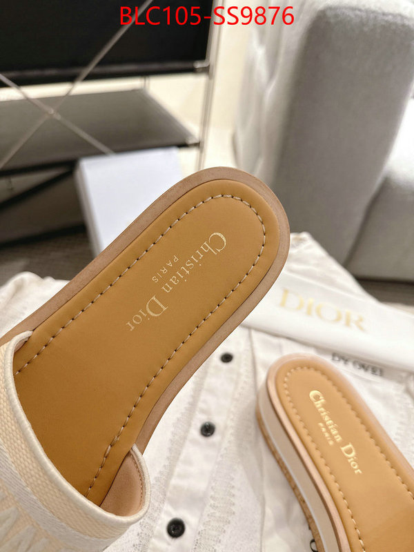 Women Shoes-Dior we provide top cheap aaaaa ID: SS9876 $: 105USD