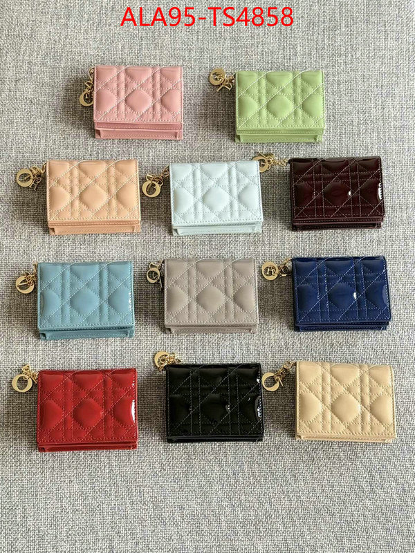 ID: TS4858 $: 95USD,