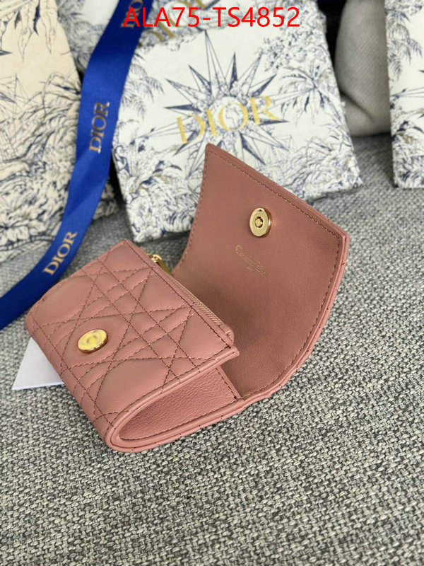 ID: TS4852 $: 75USD,