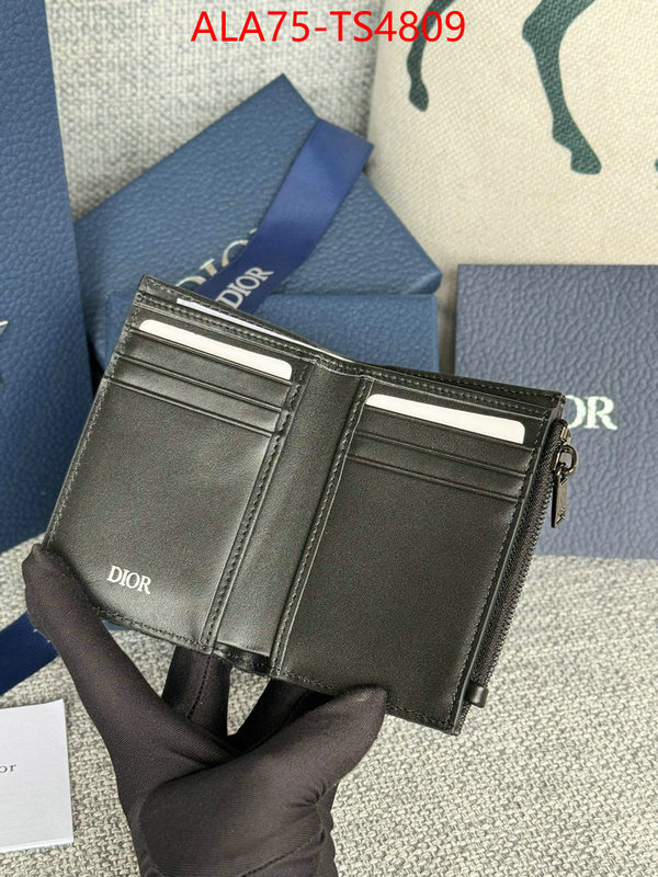 ID: TS4809 $: 75USD,