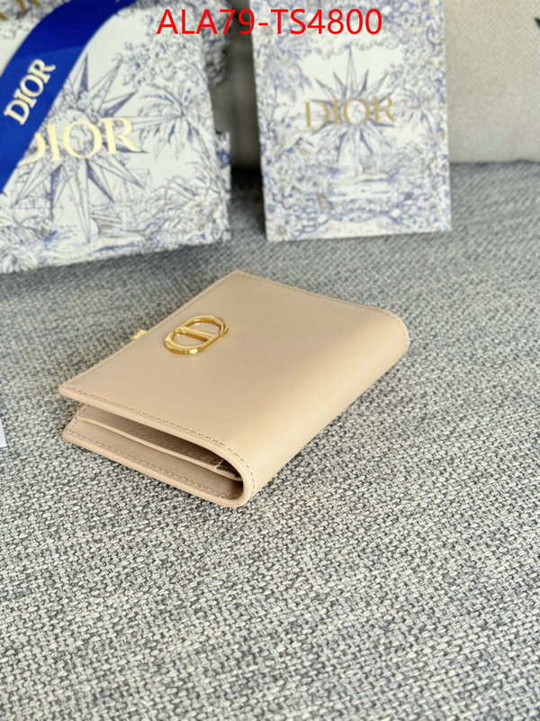 ID: TS4800 $: 79USD,