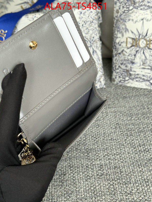 ID: TS4851 $: 75USD,