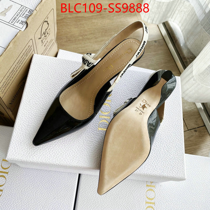 Women Shoes-Dior for sale cheap now ID: SS9888 $: 109USD