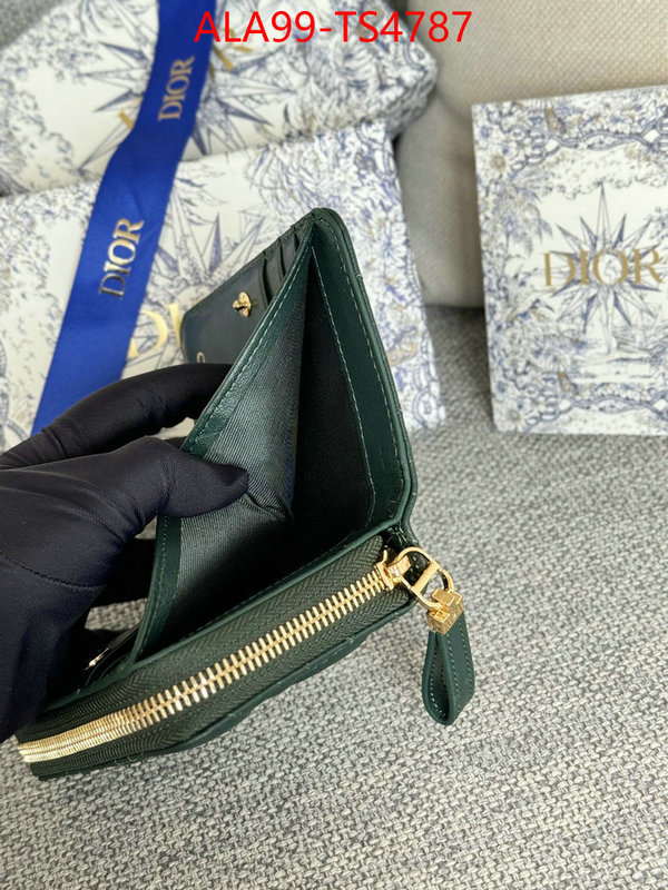 ID: TS4787 $: 99USD,