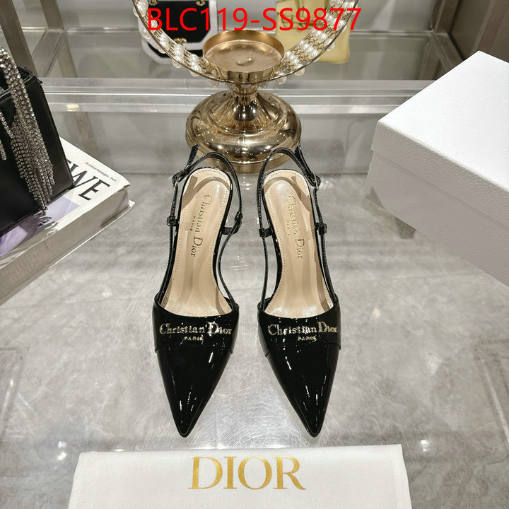 Women Shoes-Dior shop the best high authentic quality replica ID: SS9877 $: 119USD-shoes yupoo Women Shoes-Dior shop the best high authentic quality replica ID: SS9877 $: 119USD
