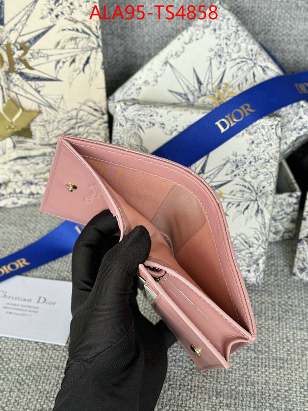 ID: TS4858 $: 95USD,