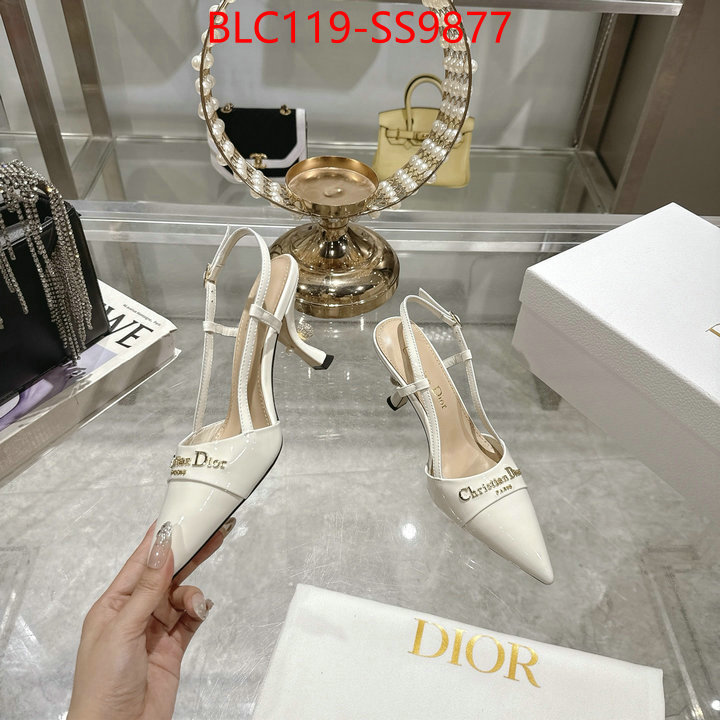 Women Shoes-Dior shop the best high authentic quality replica ID: SS9877 $: 119USD-shoes yupoo Women Shoes-Dior shop the best high authentic quality replica ID: SS9877 $: 119USD