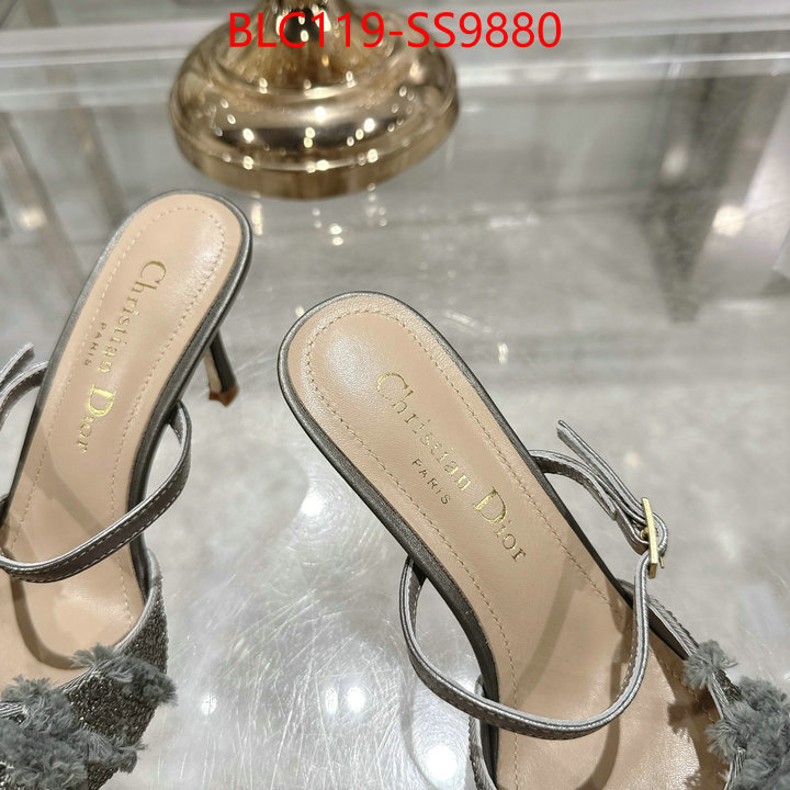 Women Shoes-Dior store ID: SS9880 $: 119USD