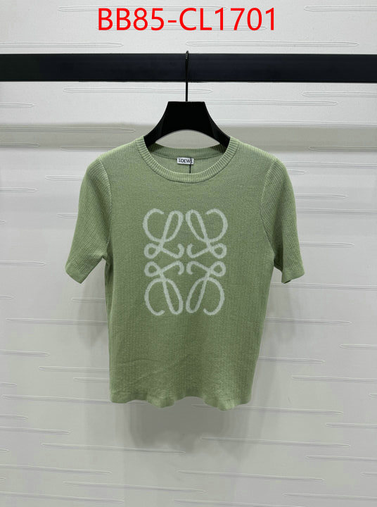 Clothing-Loewe top quality fake ID: CL1701 $: 85USD