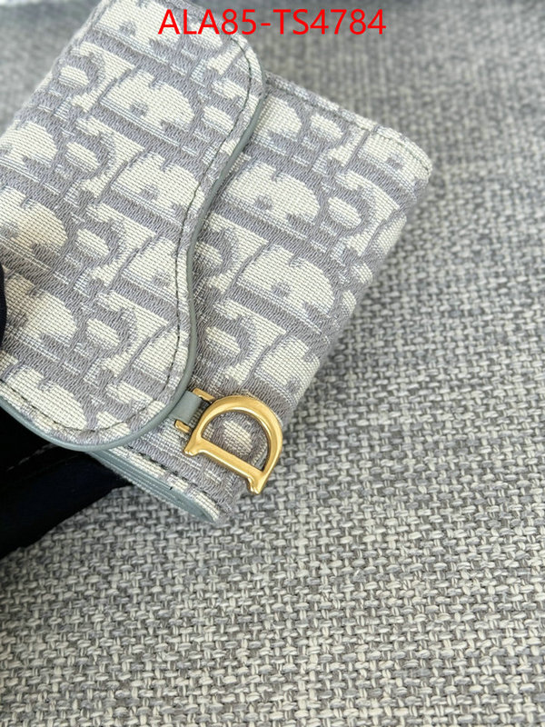 ID: TS4784 $: 85USD,