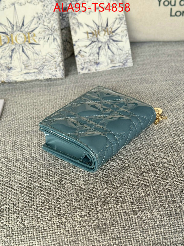 ID: TS4858 $: 95USD,