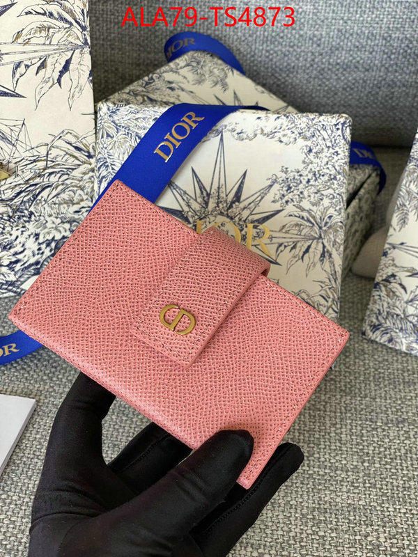 ID: TS4873 $: 79USD,