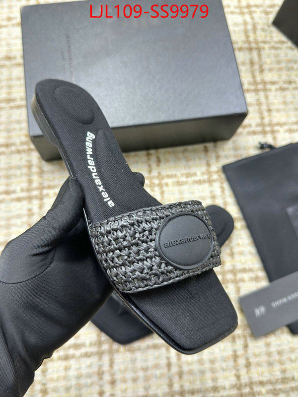 Women Shoes-Alexander Wang we curate the best ID: SS9979 $: 109USD