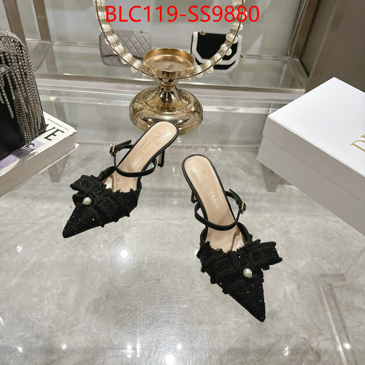 Women Shoes-Dior store ID: SS9880 $: 119USD