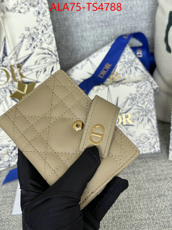 ID: TS4788 $: 75USD,
