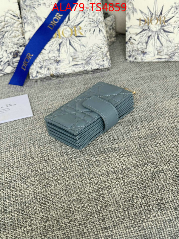 ID: TS4859 $: 79USD,