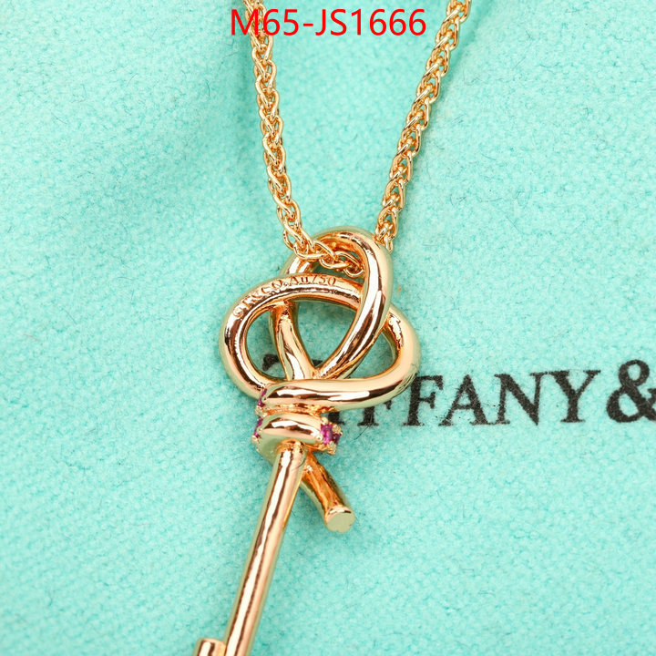 ID: JS1666
