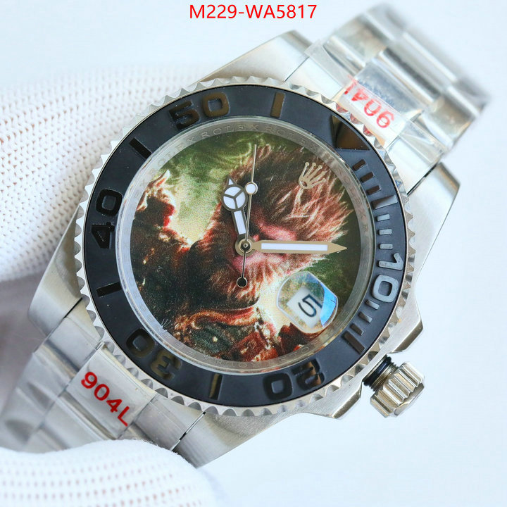 ID: WA5817