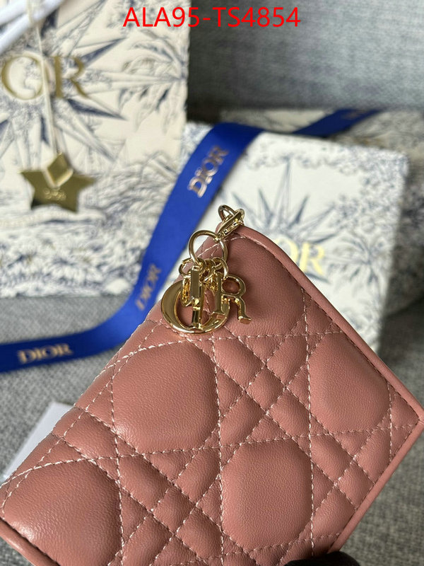 ID: TS4854 $: 95USD,