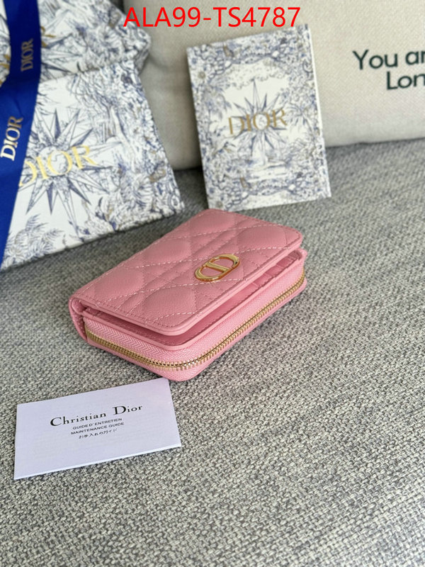 ID: TS4787 $: 99USD,