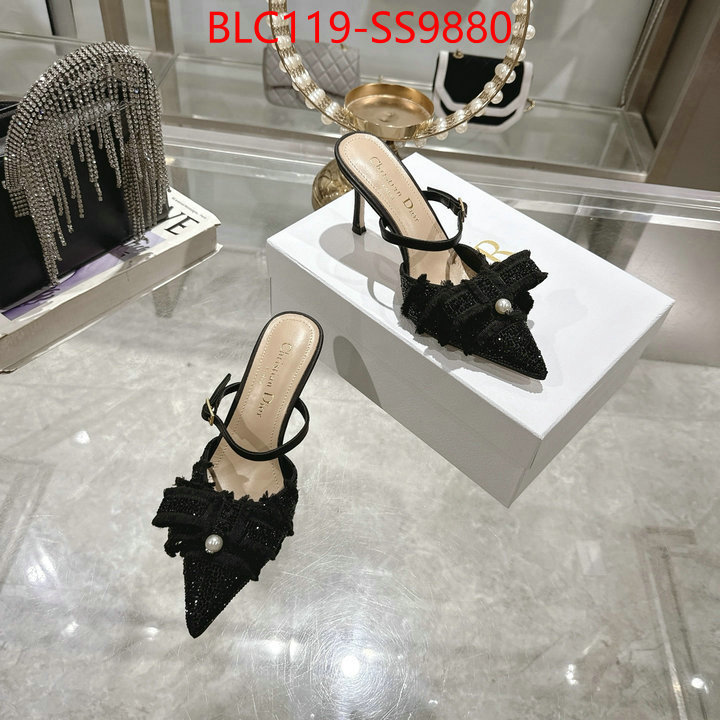 Women Shoes-Dior store ID: SS9880 $: 119USD