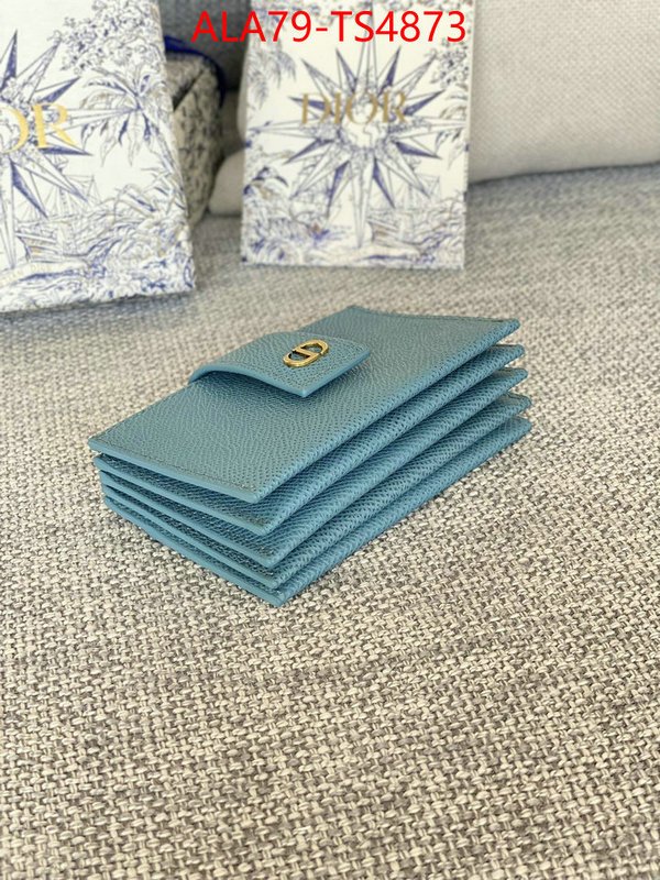 ID: TS4873 $: 79USD,
