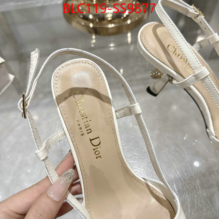 Women Shoes-Dior shop the best high authentic quality replica ID: SS9877 $: 119USD-shoes yupoo Women Shoes-Dior shop the best high authentic quality replica ID: SS9877 $: 119USD